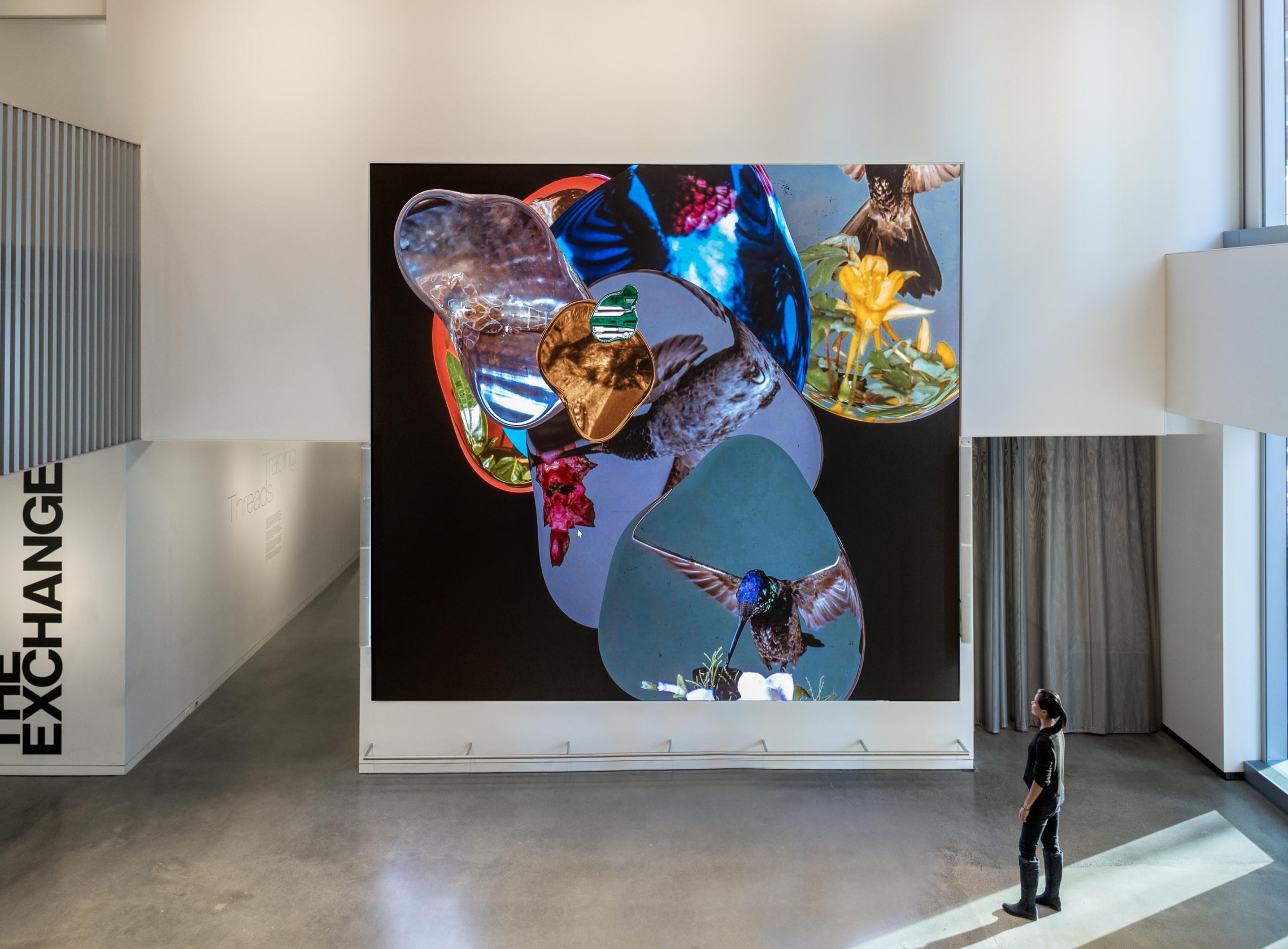 thegreeneyl new york MIT video installation new york liquid archive 