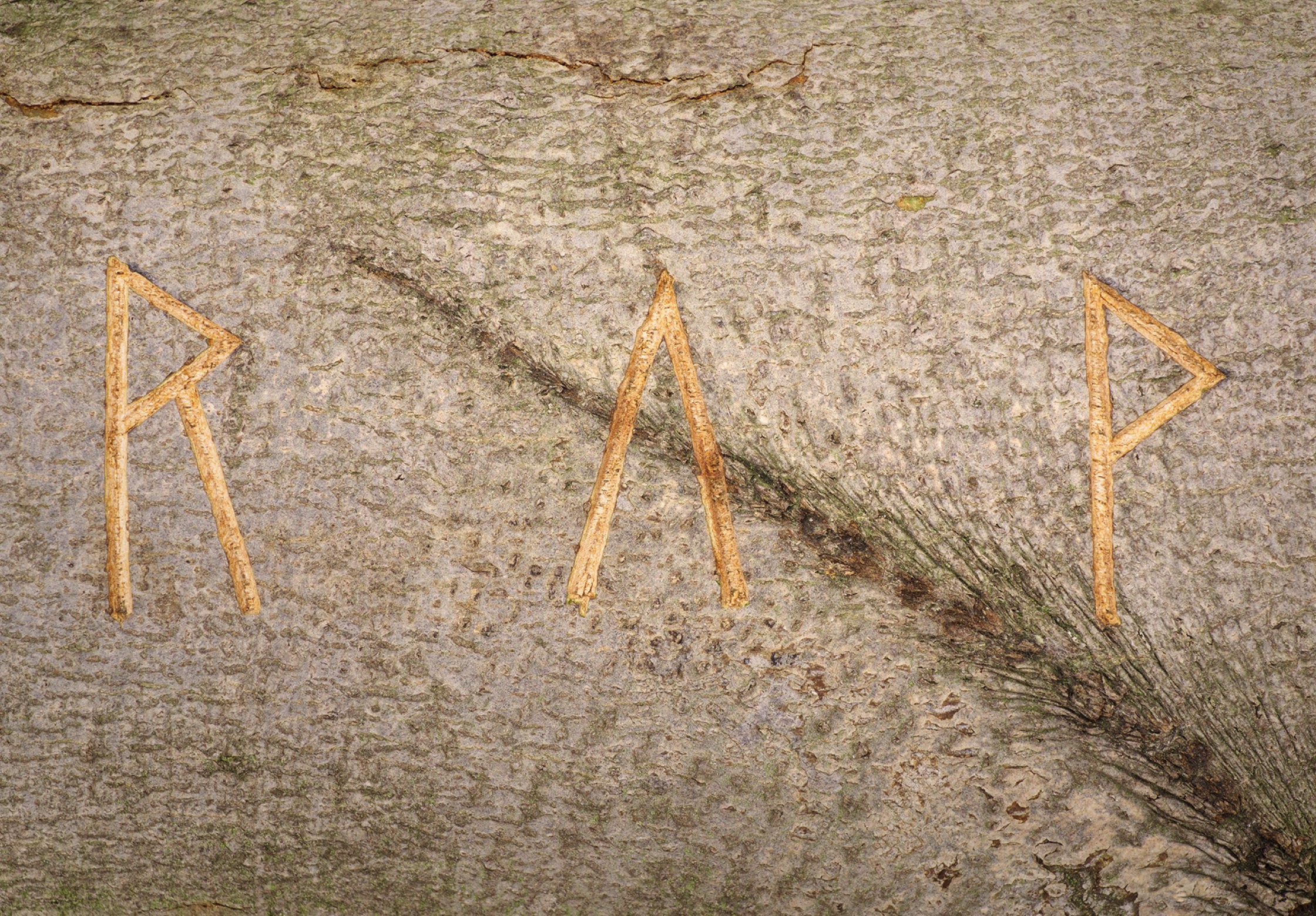 thegreeneyl ausstellung gestaltung exhibition design akademie der künste installation
