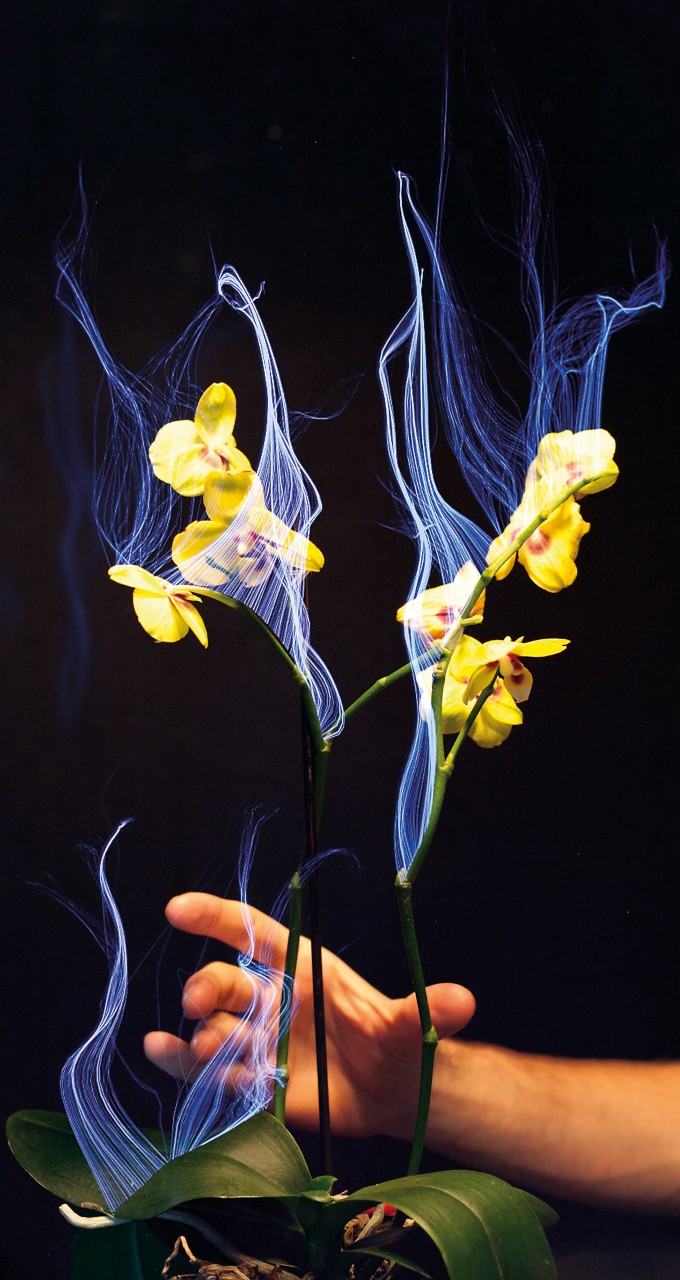 thegreeneyl exhibition design ausstellungsgestaltung disney research technology