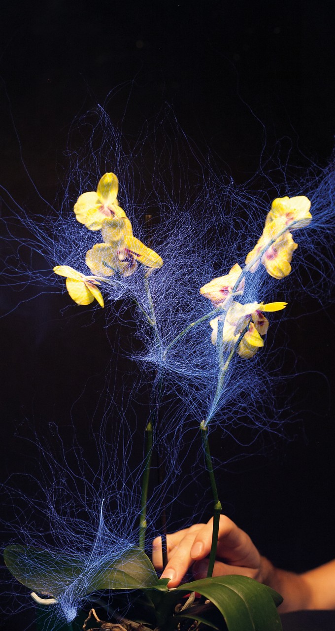 thegreeneyl exhibition design ausstellungsgestaltung disney research technology