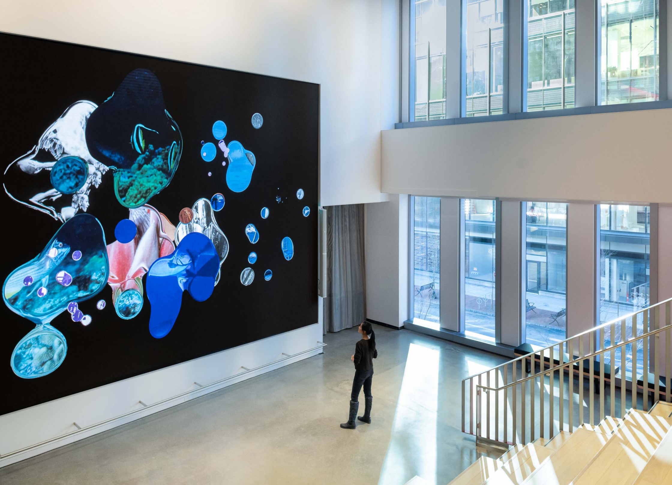 TheGreenEyl: Installation for MIT digital collection exhibition