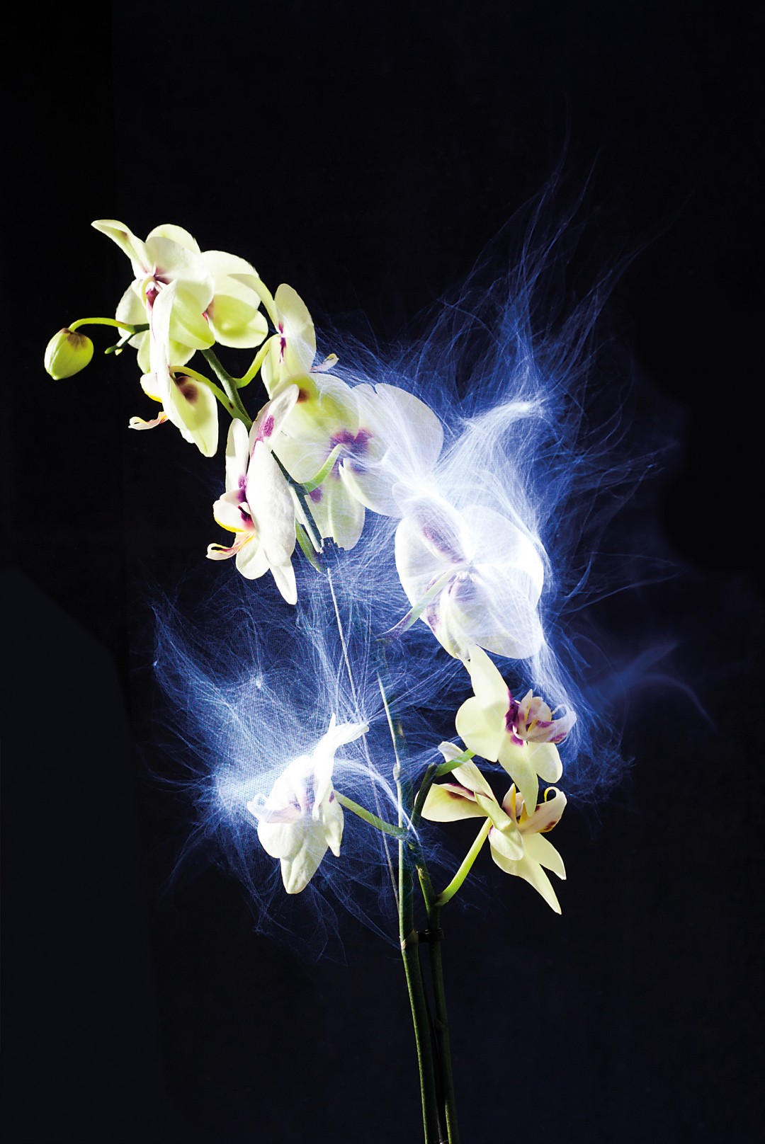 Installation und Forschungsprojekt für Disney Research